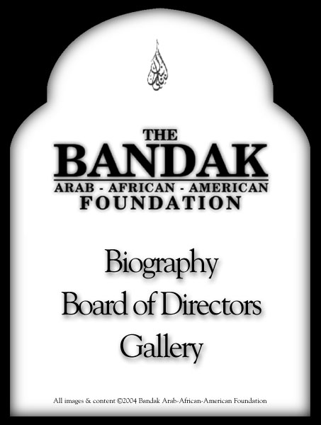 bandak logo