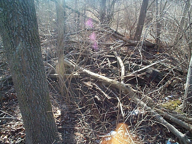02_02_02-ebt_exploration082